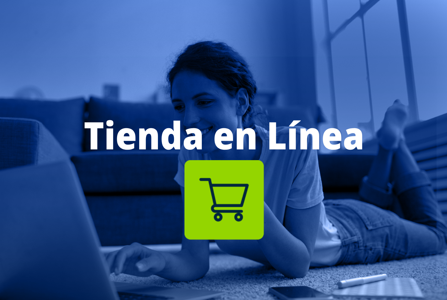 Tienda en Línea